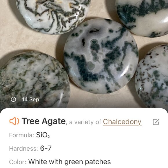 2/$20, Genuine White Green Tree Agate Bracelet, Gemstone + Antique Bronze Flower - Picture 9 of 12